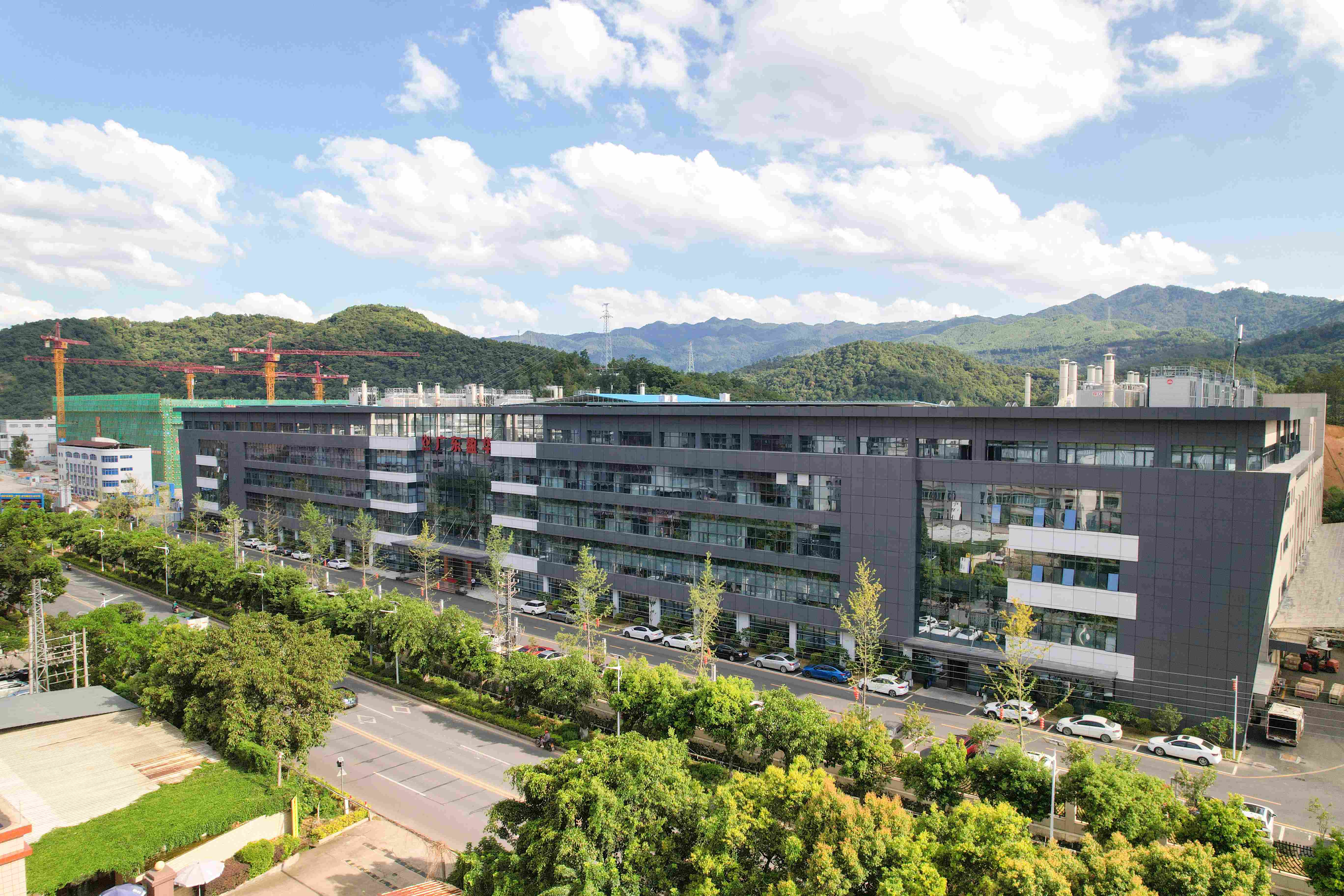 广东德信（中国）DEXIN官方网站电子科技有限公司